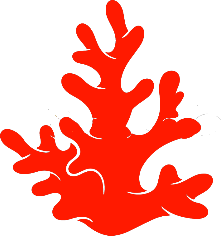 Coraliza